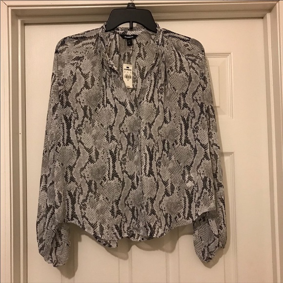 Express shirt - Picture 2 of 8